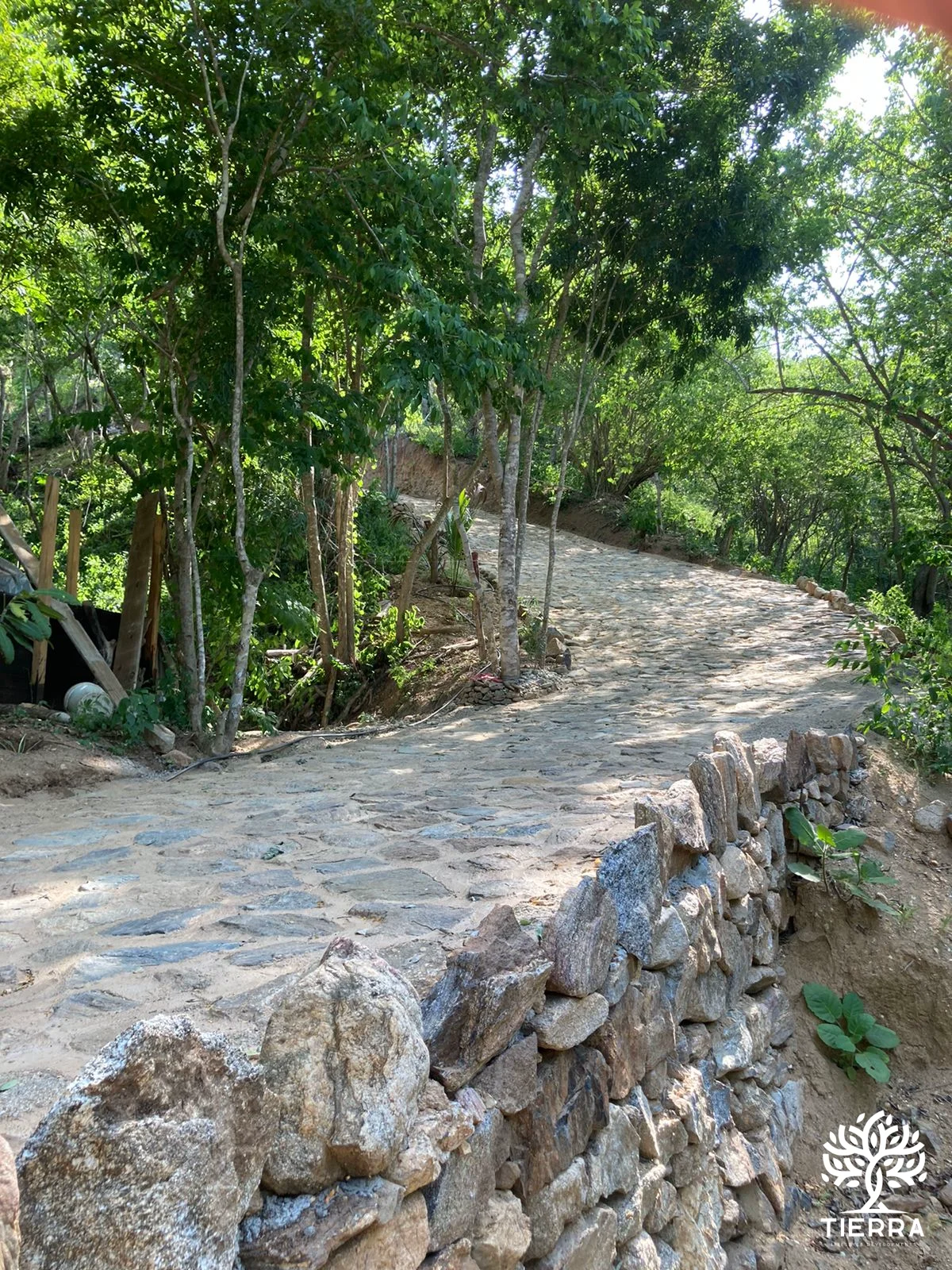 Calle de acceso