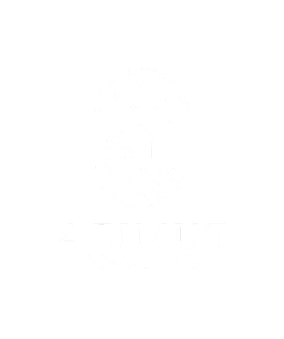 Logo Azimut