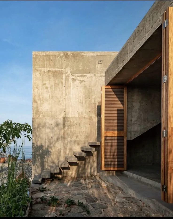 Concreto y selva