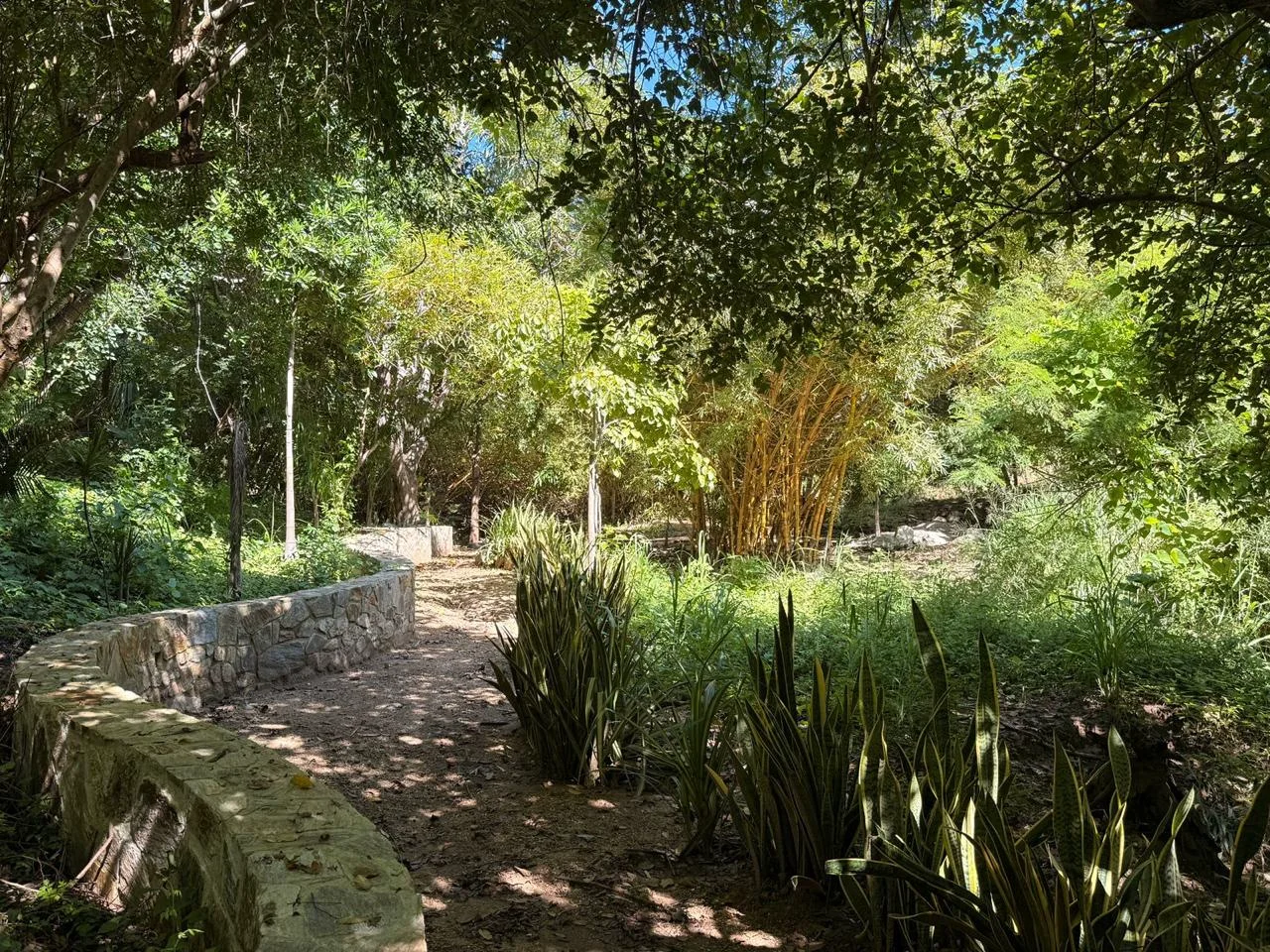 Sendero de las áreas comunes
